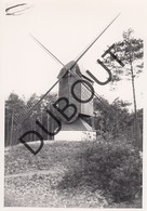 Lommel Molen/Moulin Originele Foto C8 - Lommel