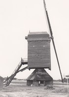 Eksel Molen/Moulin Originele Foto C11 - Hechtel-Eksel