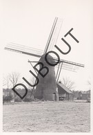 Kaulille Molen/Moulin Originele Foto C12 - Bocholt