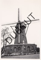 Elen  Molen/Moulin Originele Foto C16 - Dilsen-Stokkem