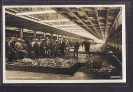 CPA PAYS-BAS - HOLLANDE - IJMUIDEN - Intérieur Rijksvischhallen - SUPERBE PLAN ANIMATION STAND De Poissons - IJmuiden