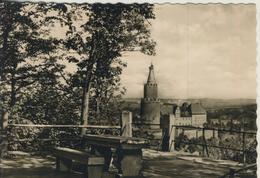 Weida V. 1962  Blick Von Der Paulinenhöhe Zur Osterburg  (3068) - Weida