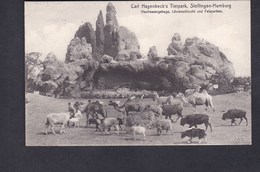 AK Stellingen Hamburg Carl Hagenbeck's Tierpark Heufressergehege Löwenschlucht Und Felspartien - Stellingen