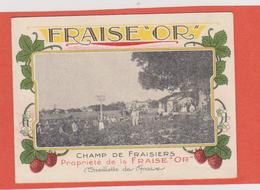 144 - CHROMO FRAISE OR GIRARDOT FILS DISTILLATEUR A ROMORANTIN 41. CHAMP DE FRAISIERS CUEILLETTE DE FRAISES.PROPRIETE FR - Sonstige