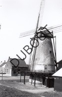 Lille Molen/Moulin Foto Jaren '70 C48 - Lille