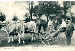 UNE FAUCHEUSE  JOHNSTON DANS LA PROPRIETE DE M FALLIERES - Cultivation