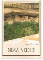 COLORADO,  MESA VERDESPRUCE TREE HOUSE - Mesa Verde