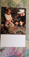 CHILDREN - Mushroomers -  Champignon - OLD Postcard - MUSHROOM 1969 - Mushrooms