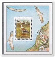 Transkei 1991, Postfris MNH, Birds - Transkei