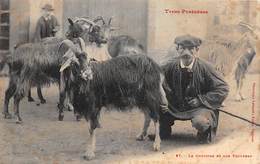 Hautes  Pyrénées       65     Le Chevrier Et Son Troupeau     (voir Scan) - Aquitaine