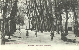 Millas Promenade Des Platanes - Millas