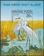 ** 1980 Madarak - Védett Vízimadarak Vágott Blokk (6.000) - Sonstige & Ohne Zuordnung