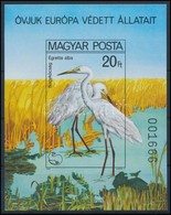 ** 1980 Védett Vízimadarak Vágott Blokk (6.000) - Sonstige & Ohne Zuordnung