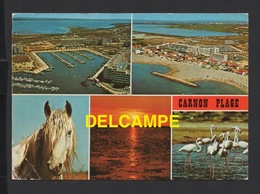 DF / 34 HERAULT / MAUGUIO - CARNON / CARNON-PLAGE / VUES AÉRIENNES ET L' ETANG - Mauguio