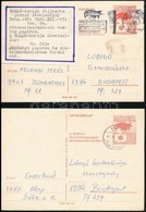 100 Db 60f 'HOLLÓ' ábrájú Futott Levelezőlap (30 éve érintetlen Anyag) - Used Stamps