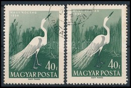 O 1959 Madarak II. 40f Színelcsúszás Miatt A Kócsag Lába Alig Látszik + Támpéldány - Sonstige & Ohne Zuordnung