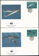 1983 WWF: Bálnák Sor 4 Db FDC-n Mi 20-23 - Autres & Non Classés