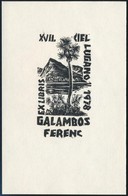 Jelzés Nélkül: 1978 Lugano Ex Libris. Linó, Papír, 11x7 Cm - Other & Unclassified