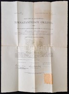 1916 Tornatanítónői Oklevél 42x54 Cm - Non Classificati
