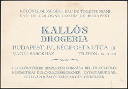 1935 Kallós Drogéria Reklámlapja, A Hátoldalon Magyar Drogista Testület Részére írt Behozatali Engedély ügyben, Kallós A - Other & Unclassified