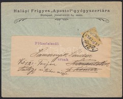 1905 Bp.,Halápi Frigyes 'Apostol'-gyógyszertárának Borítékja - Pubblicitari