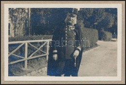 1916 Wilhelm Ritter Von Gründorf-Zebegeny (1832-1928) K. U. K. Tábornok, Törzstiszt Fotója, Kartonra Ragasztva, 4×6 Cm - Unclassified