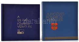 A 100 éves Fővárosi Vízművek. Bp., 1967, Mezőgazdasági Könyvkiadó Vállalat. Első Kiadás. Szövegközti Illusztrációkkal. K - Unclassified