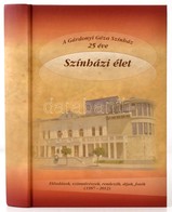 Katona Mária: A Gárdonyi Géza Színház 25 éve. Színházi élet. Előadások, Színművészek, Rendezők, Díjak, Fotók. (1987-2012 - Unclassified