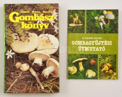2 Db Gombászkönyv: Kalmár - Makara - Rimóczi: Gombászkönyv. Bp., 1989, Natura.; Kalmár Zoltán: Gombagyűjtési útmutató. B - Non Classés