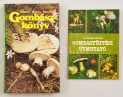 2 Db Gombászkönyv: Kalmár - Makara - Rimóczi: Gombászkönyv. Bp., 1989, Natura.; Kalmár Zoltán: Gombagyűjtési útmutató. B - Sin Clasificación