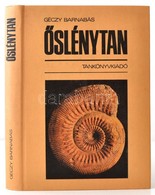 Géczy Barnabás: Őslénytan. Bp.,1986, Tankönyvkiadó. Második. Kiadói Kartonált Papírkötés, Jó állapotban. Megjelent 2000  - Unclassified