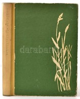 Fekete István: Tüskevár. Bp.,1972, Móra. Kiadói Félvászon-kötés, Kopott Borítóval. - Non Classificati