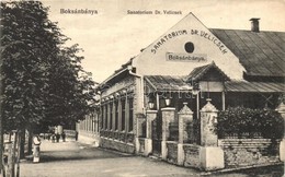 ** T1/T2 Boksánbánya, Németbogsán, Bocsa; Dr. Velicsek Szanatóriuma / Sanatorium - Non Classificati