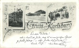 T2/T3 1898 Gyulafehérvár, Karlsburg, Alba Iulia; Vasútállomás, Várkapu, Losenau Emlékmű / Railway Station, Castle Gate,  - Ohne Zuordnung