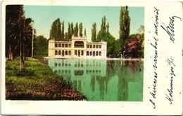 T3 Kolozsvár, Cluj; Sétatéri Tó, Korcsolya Csarnok / Lake, Ice Skating Hall (fa) - Unclassified