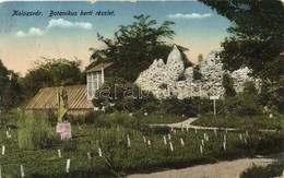 * T4 Kolozsvár, Cluj; Botanikus Kert / Botanic Garden (b) - Non Classificati