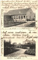 T2 1905 Maroshévíz, Oláhtoplica, Toplicza, Toplita; Jákobi István Szülőháza, Kúria / Birth Villa Of István Jákobi - Non Classés