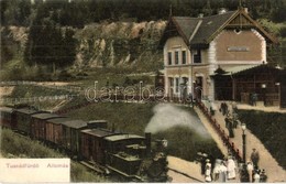 T2 1908 Tusnádfürdő, Baile Tusnad; Vasútállomás, Gőzmozdony. Kiadja Adler Alfréd / Bahnhof / Railway Station, Locomotive - Ohne Zuordnung