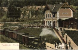 T2 1908 Tusnádfürdő, Baile Tusnad; Vasútállomás, Gőzmozdony. Kiadja Adler Alfréd / Bahnhof / Railway Station, Locomotive - Non Classés