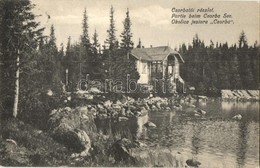 T2 1906 Tátra, Magas Tátra, Vysoké Tatry; Csorba Tói Részlet / Okolica Jeziora Csorba, Strbské Pleso / Lake - Unclassified