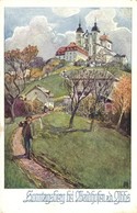 T2/T3 Waidhofen An Der Ybbs, Deutscher Schulverein Karte No. 553, German Art Postcard, S: AR - Non Classificati