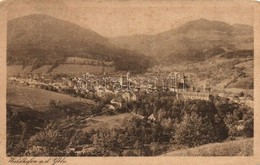 T3 Waidhofen An Der Ybbs, General View, Verlag Walter Strauß (EB) - Non Classés