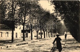 T2 Épinal, Avenue Des Templiers, Brique D'Eaux Cazeus / Street, Shop - Zonder Classificatie