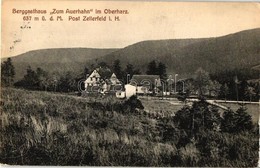 T2/T3 Oberharz, Berggasthaus 'Zum Auerhahn' / Mountain Guest House (EK) - Ohne Zuordnung