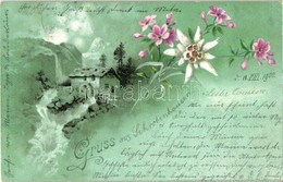 T2/T3 Schrobenhausen, Watermill, Floral, Litho (EK) - Non Classés