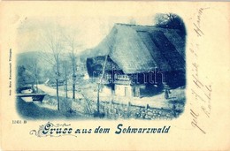 * T2/T3 1899 Triberg, Schwarzwald, Homestead - Non Classificati