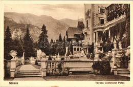 ** T1 Sinaia, Terasa Castelulul Peles / Castle Terrace - Non Classificati