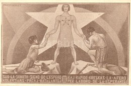 ** T2 La Espero De L.L. Zamenhof / Esperanto Art Postcard S: Ernesto Gebauer - Sin Clasificación