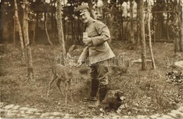 T2/T3 WWI German Military Officer Feeding A Deer, Atelier Alberti Photo (fl) - Ohne Zuordnung