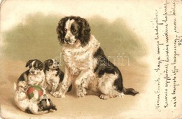 T3/T4 1899 Dog With Puppies, Litho (EB) - Unclassified